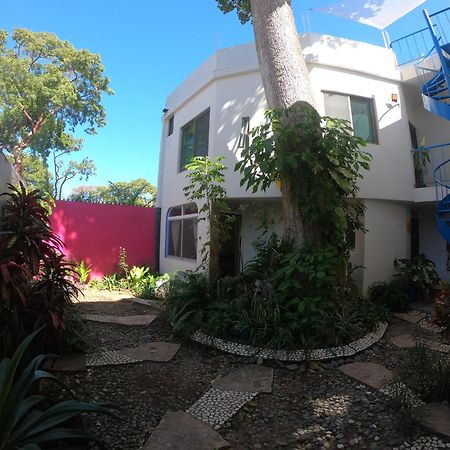 Casa Arbol De Paz Habitacion Doble Chacala  Εξωτερικό φωτογραφία