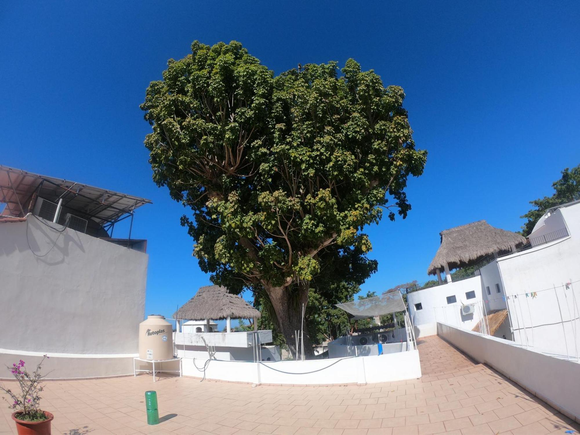 Casa Arbol De Paz Habitacion Doble Chacala  Εξωτερικό φωτογραφία